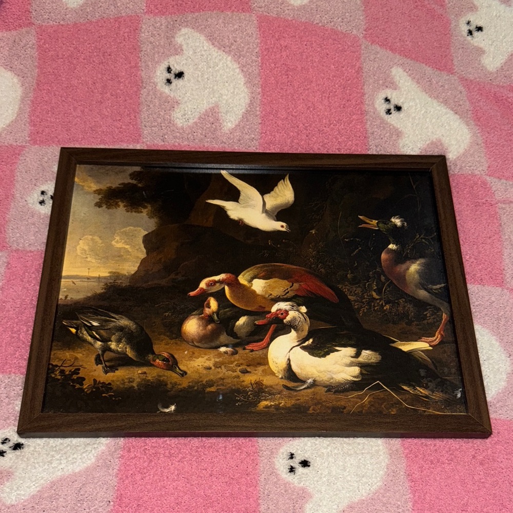 Ducks by Melchior d'Hondecoeter framed print